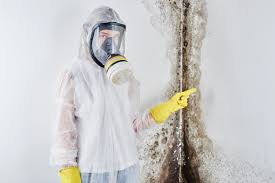 Best Commercial Mold Inspection  in Hebron, IN